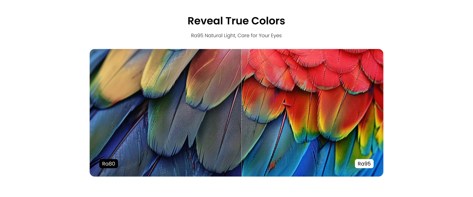 Yeelight Pura feature panel showing tunable color temperature